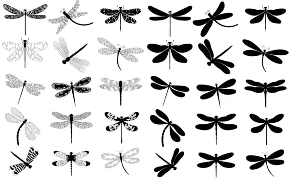 Dragonfly Set Silhouette White Background Vector — Stock vektor