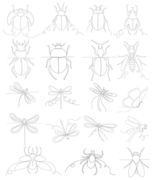 Hmyz Nastavit Náčrt Kresby Jedné Čáry Vektor — Stockový vektor