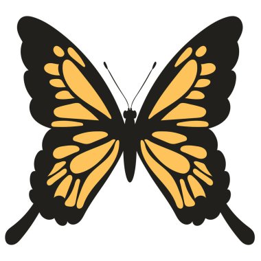 butterfly insect, white background vector