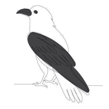 Raven sketch drawing by one continuous line,vector