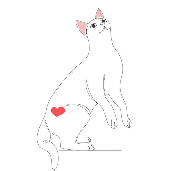 1本の連続線で描かれた猫のスケッチ — ストックベクタ