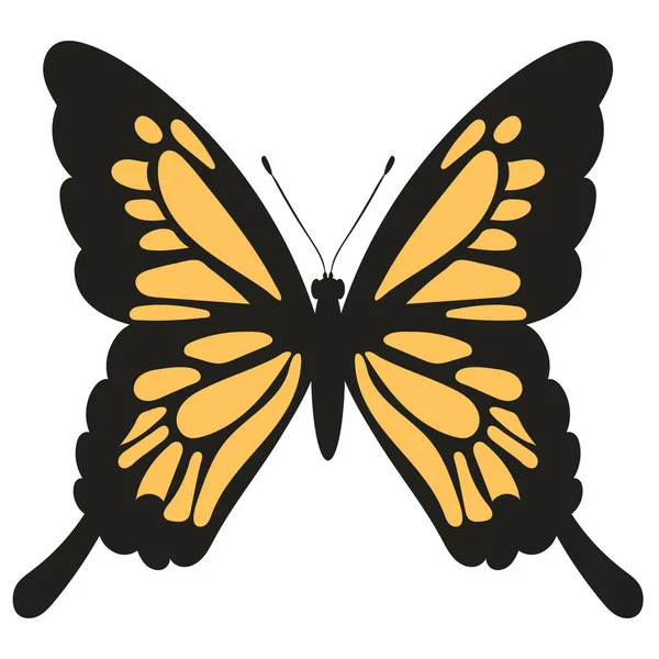 Butterfly Insect White Background Vector — Vector de stock