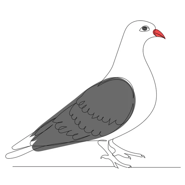 Pigeon Sketch Drawing One Continuous Line Vector Isolated — Stockvektor