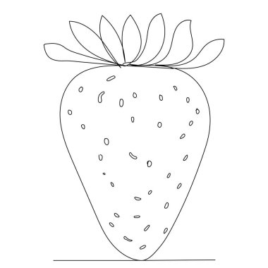 strawberry line drawing, sketch, vector