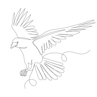 flying bird line drawing, sketch, vector