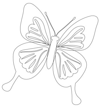 Kelebek, beyaz arkaplanda çizim yap