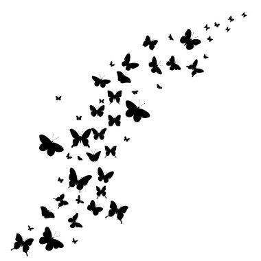 flying butterflies, black silhouette, isolated