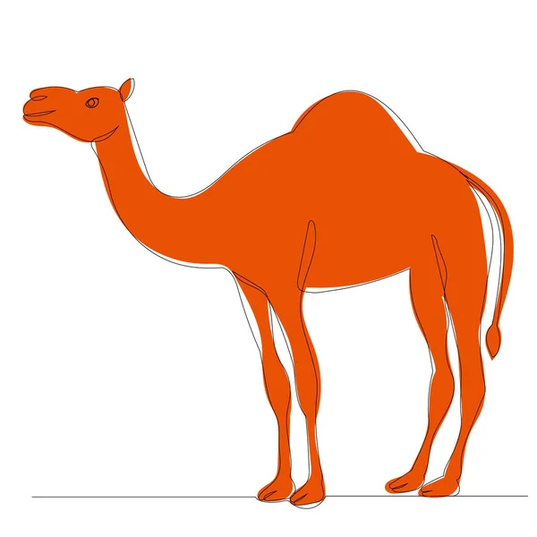 Camel Line Drawing Sketch Vector — Vetor de Stock