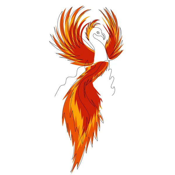 Phoenix Bird Firebird Line Drawing Sketch Vector — Archivo Imágenes Vectoriales