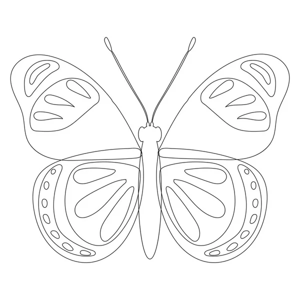 Метелик Контурний Ескіз Білому Тлі Ізольований Вектор — стоковий вектор