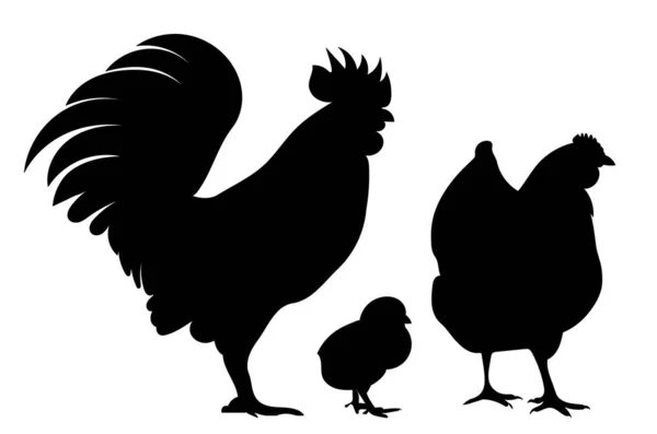 Rooster Hen Chick Black Silhouette Isolated Vector — Vettoriale Stock