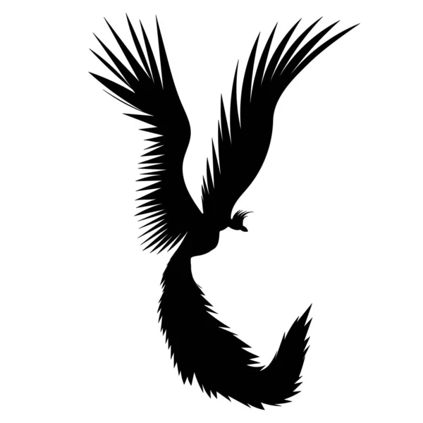 Phoenix Bird Silhouette Noire Vecteur Isolé — Image vectorielle
