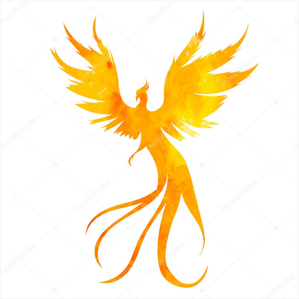 phoenix bird, fire bird watercolor silhouette, isolated