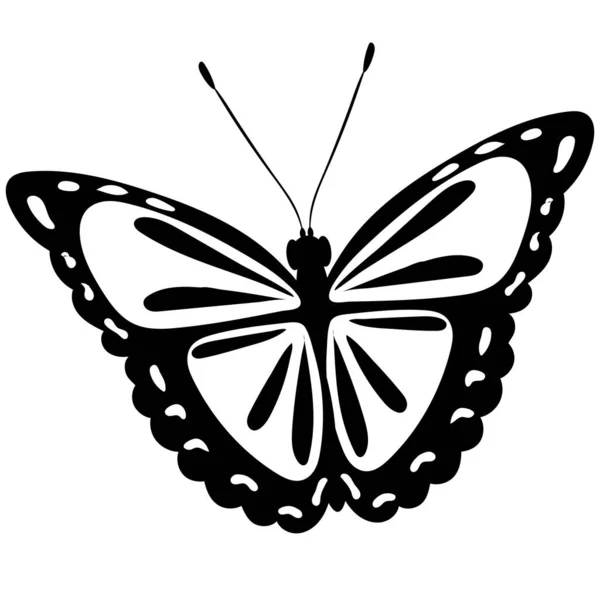 Vliegende Vlinder Zwart Wit Silhouet Geïsoleerde Vector — Stockvector