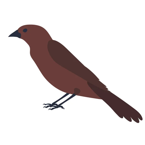Pták Plochý Design Bílém Pozadí Izolovaný Vektor — Stockový vektor