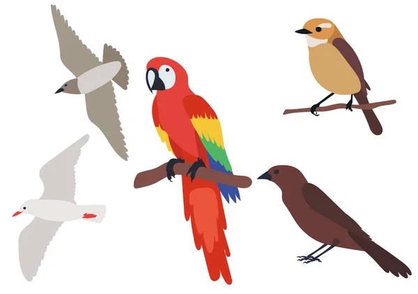 Kuşlar Seti Beyaz Arka Planda Düz Tasarım Izole Edilmiş Vektör — Stok Vektör