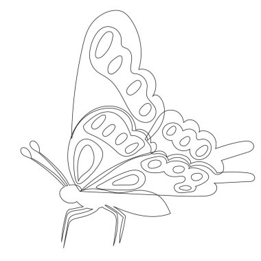 Beyaz arkaplanda kelebek çizimi