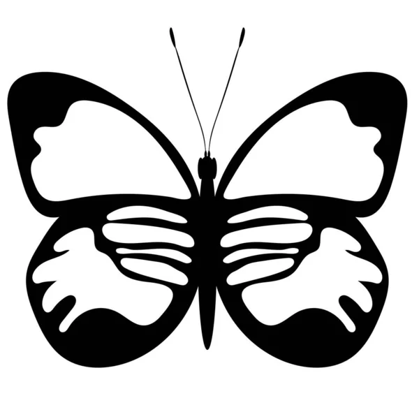 Farfalla Silhouette Bianco Nero Vettore — Vettoriale Stock
