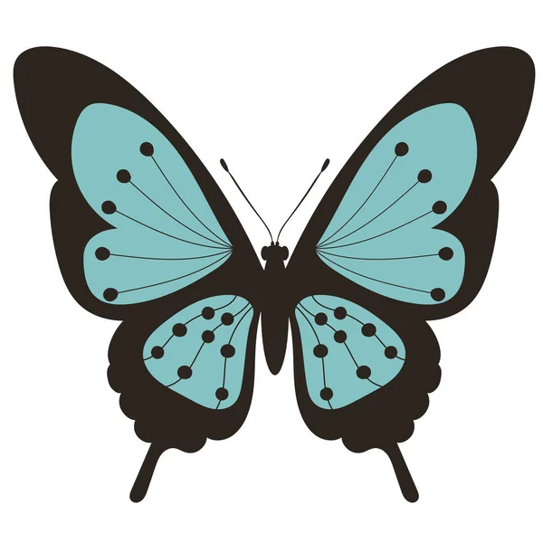 Бабочка Плоский Дизайн Белом Фоне — стоковый вектор