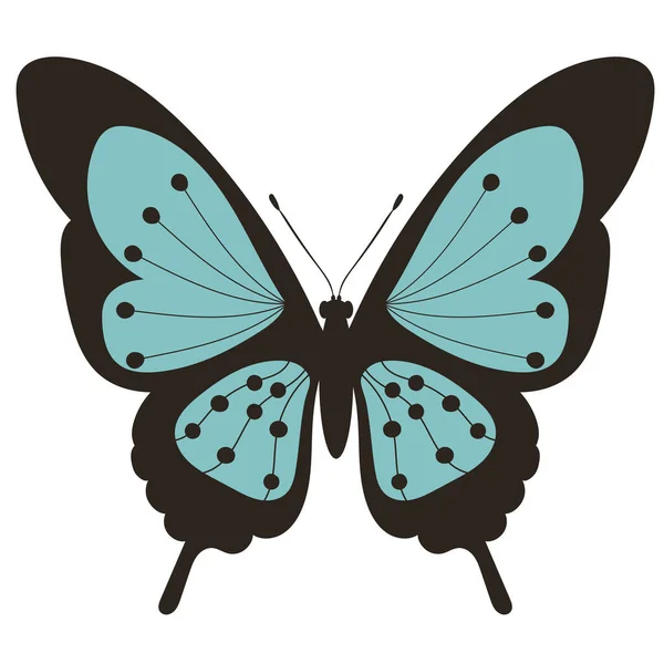 Mariposa Diseño Plano Sobre Fondo Blanco — Vector de stock