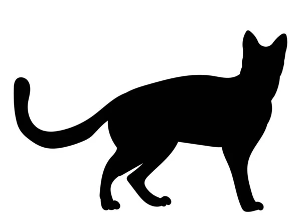 Кіт Чорний Силует Вектор Ізольований — стоковий вектор