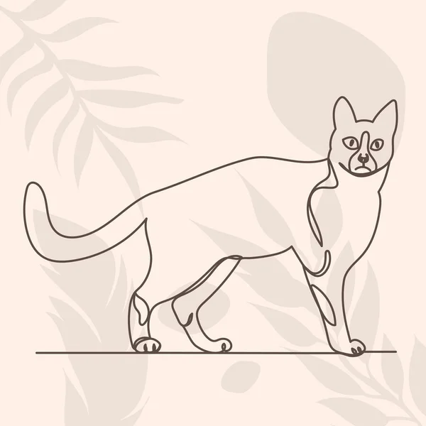 추상적 위에서 연속적 선으로 고양이그리기 고립된 — 스톡 벡터