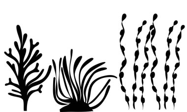 Beyaz arkaplanda yosun silueti, vektör, izole edilmiş