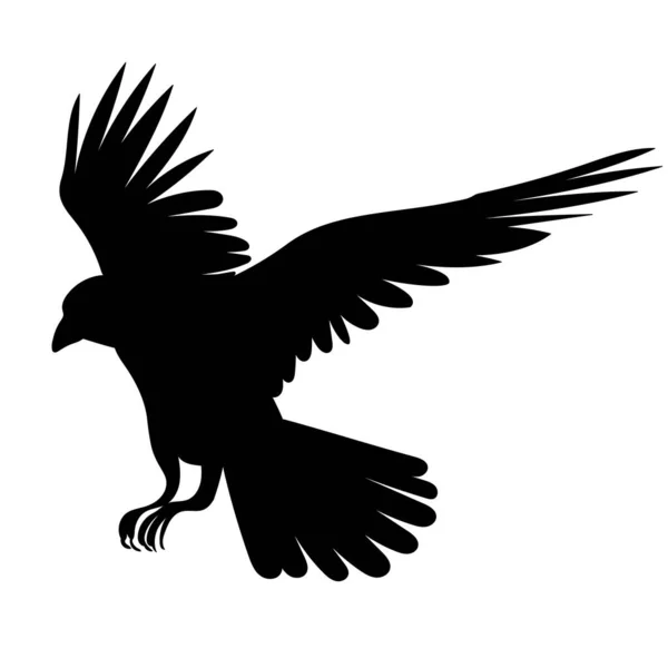 Raven Vliegt Silhouet Een Witte Achtergrond Vector Geïsoleerd — Stockvector