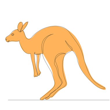 kanguru çizimi, sürekli bir çizgi, vektör, izole edilmiş