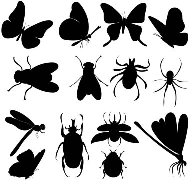 Beyaz arkaplan, vektör ve izole edilmiş böcek koleksiyonu