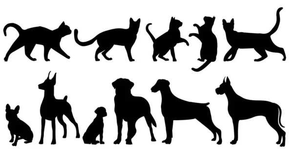 Коллекция Кошек Собак Набор Силуэт Белом Фоне Вектор Изолированные — стоковый вектор