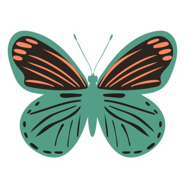 Beyaz arka planda kelebek ve böcek izole edildi