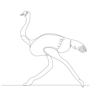 Devekuşu çizimi sürekli bir çizgi, vektör, izole edilmiş.