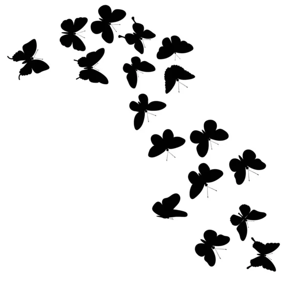 Flygande Fjärilar Silhuett Vit Bakgrund Vektor Isolerad — Stock vektor