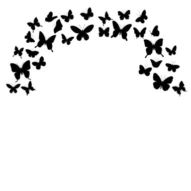 Beyaz arkaplanda kelebekler uçuşuyor.