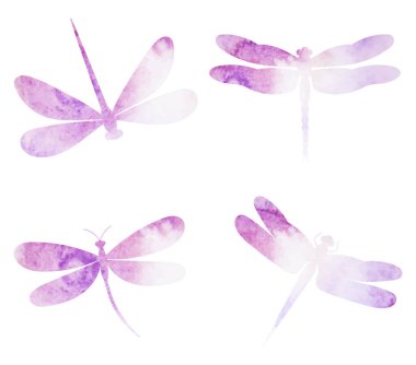 Uçan yusufçuklar suluboya silueti, beyaz arka planda, vektör, izole edilmiş