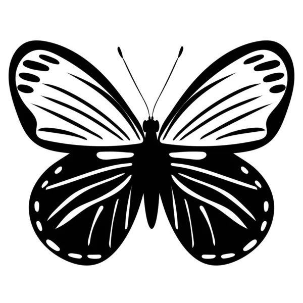 Farfalla Silhouette Bianco Nero Sfondo Bianco — Vettoriale Stock