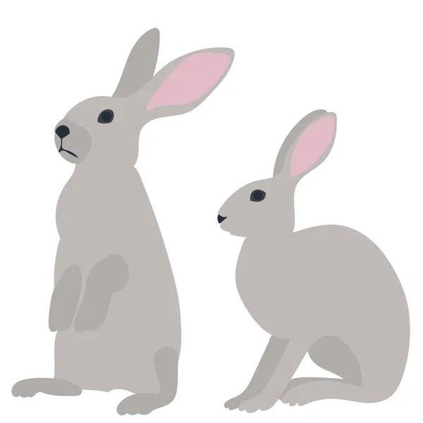 Lepri Conigli Fondo Bianco Isolati Vettore — Vettoriale Stock