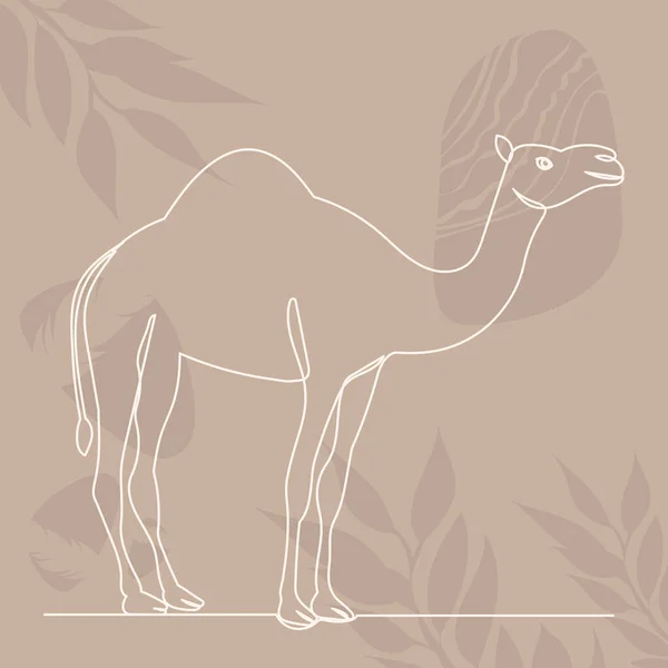 Linha Camelo Desenho Fundo Abstrato Vetor Isolado — Vetor de Stock