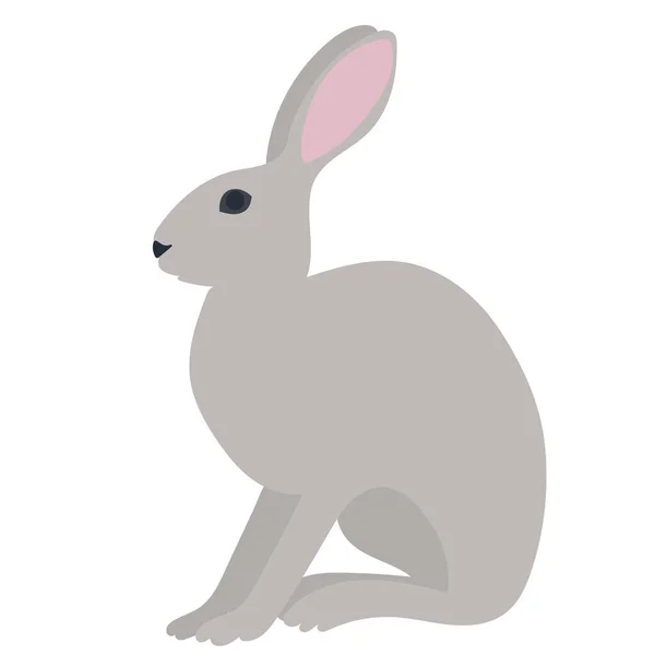 Rabbit Hare Flat Design White Background Isolated Vector — Stock Vector