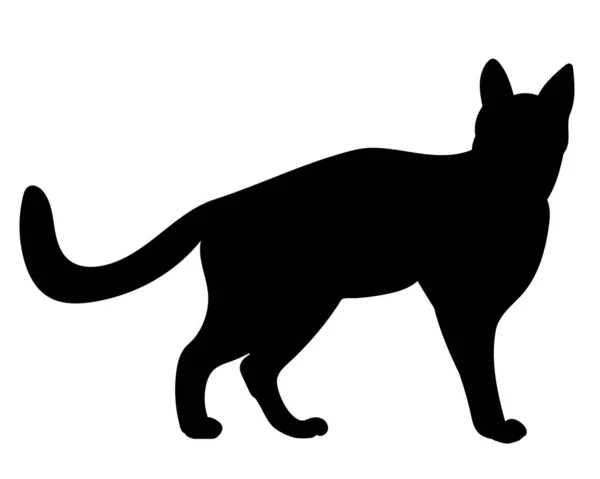 Cat Silhouette White Background Vector Isolated — Stock Vector