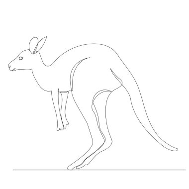kanguru bir çizgi çiziyor, vektör, izole