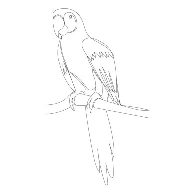Büyük papağan bir çizgi çiziyor, vektör, izole.