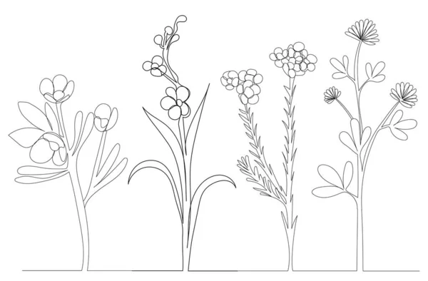 Fleurs Plantes Dessin Une Ligne Vecteur Isolé — Image vectorielle