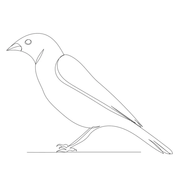Jednořádková Kresba Ptáka Vektor Izolovaný — Stockový vektor