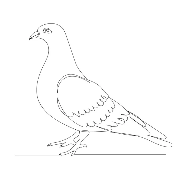 Pombo Desenho Uma Linha Vetor Isolado —  Vetores de Stock