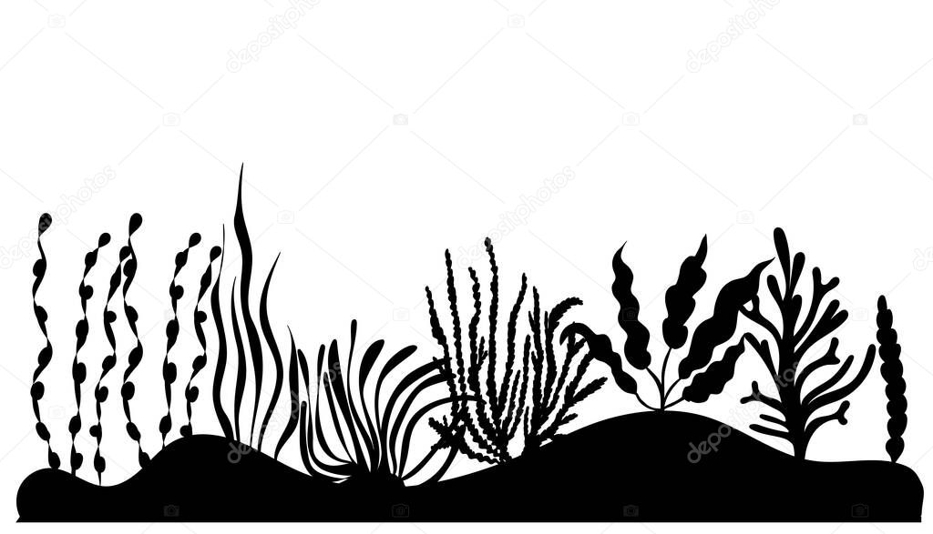 seaweed silhouette ,on white background, vector