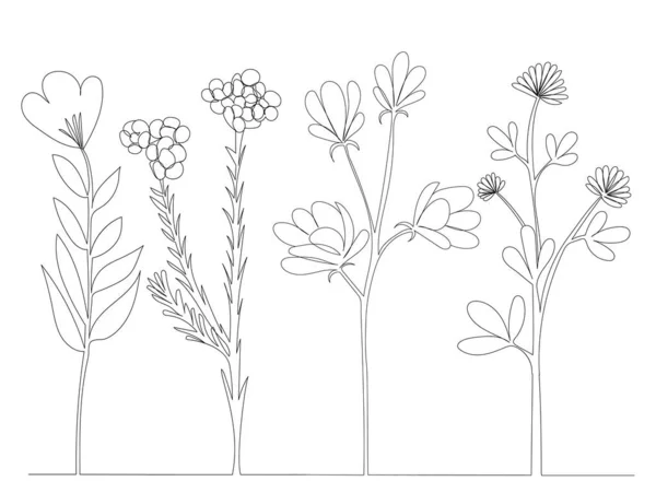 Цветы Растения Одна Линия Рисунок Контур Вектор Изолированные — стоковый вектор