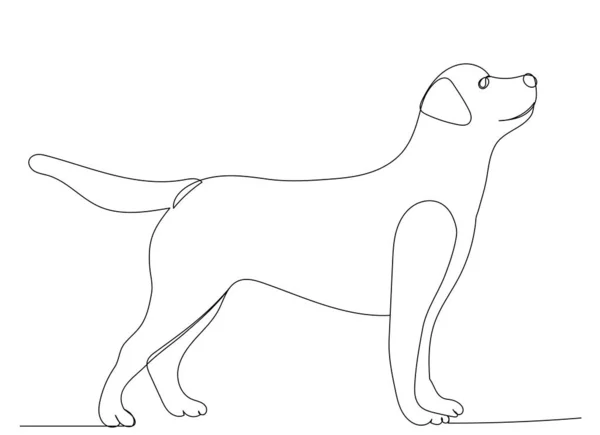 Dog One Line Drawing Outline Vector Isolated — Stock Vector