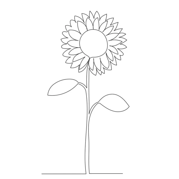 Girasol Dibujo Una Línea Contorno Vector Aislado — Archivo Imágenes Vectoriales